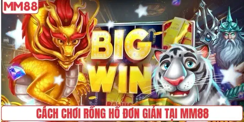 Cách chơi Rồng hổ đơn giản tại MM88